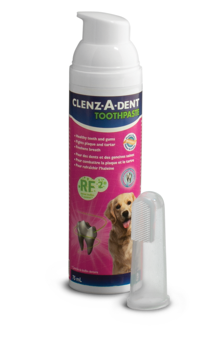 Clenz-A-Dent Toothpaste