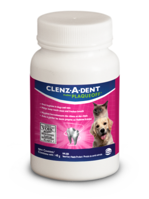 Clenz-A-Dent PlaqueOff